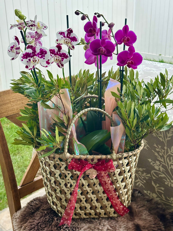 Orchid Island