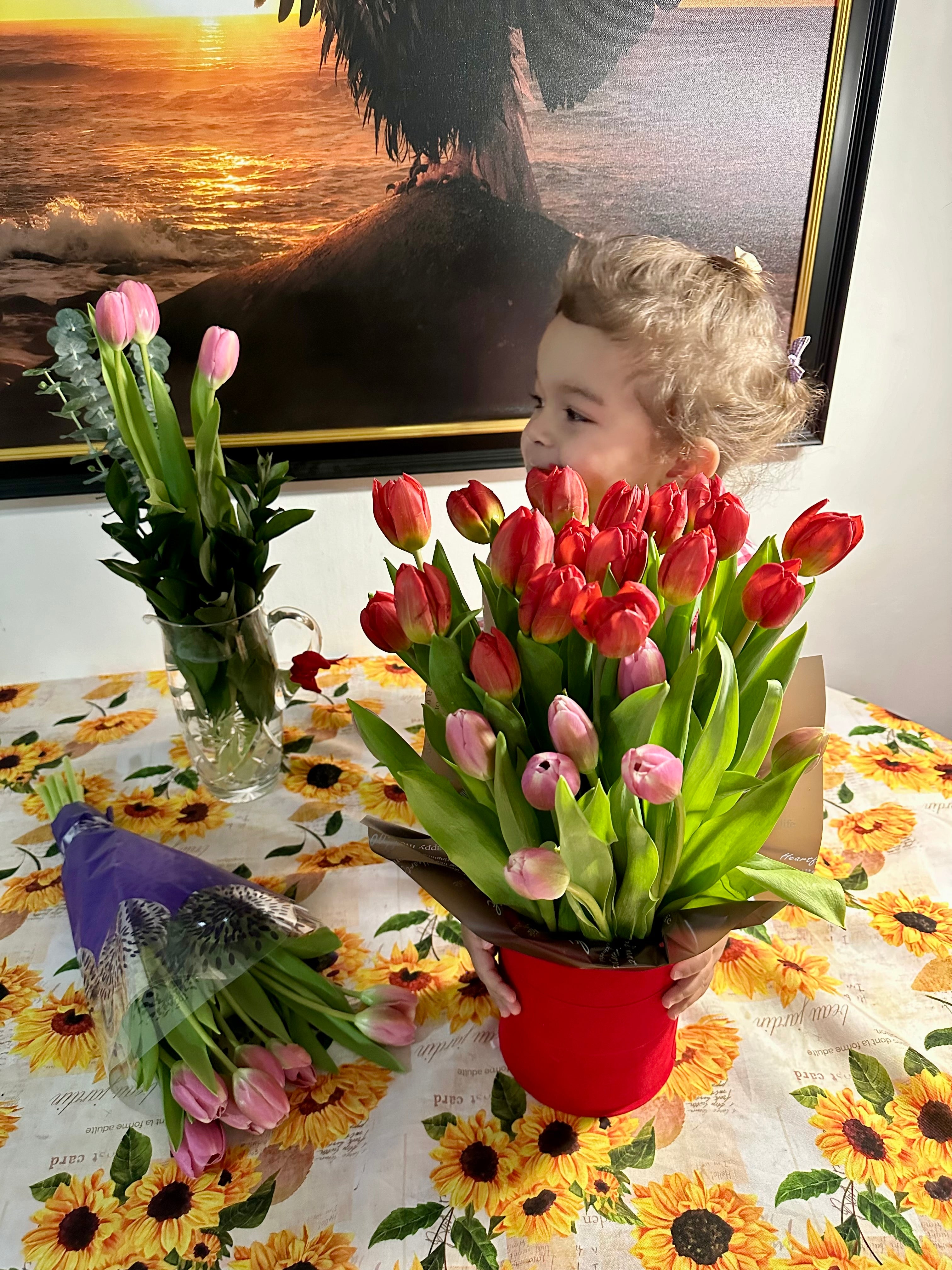 24 Tulip Dream