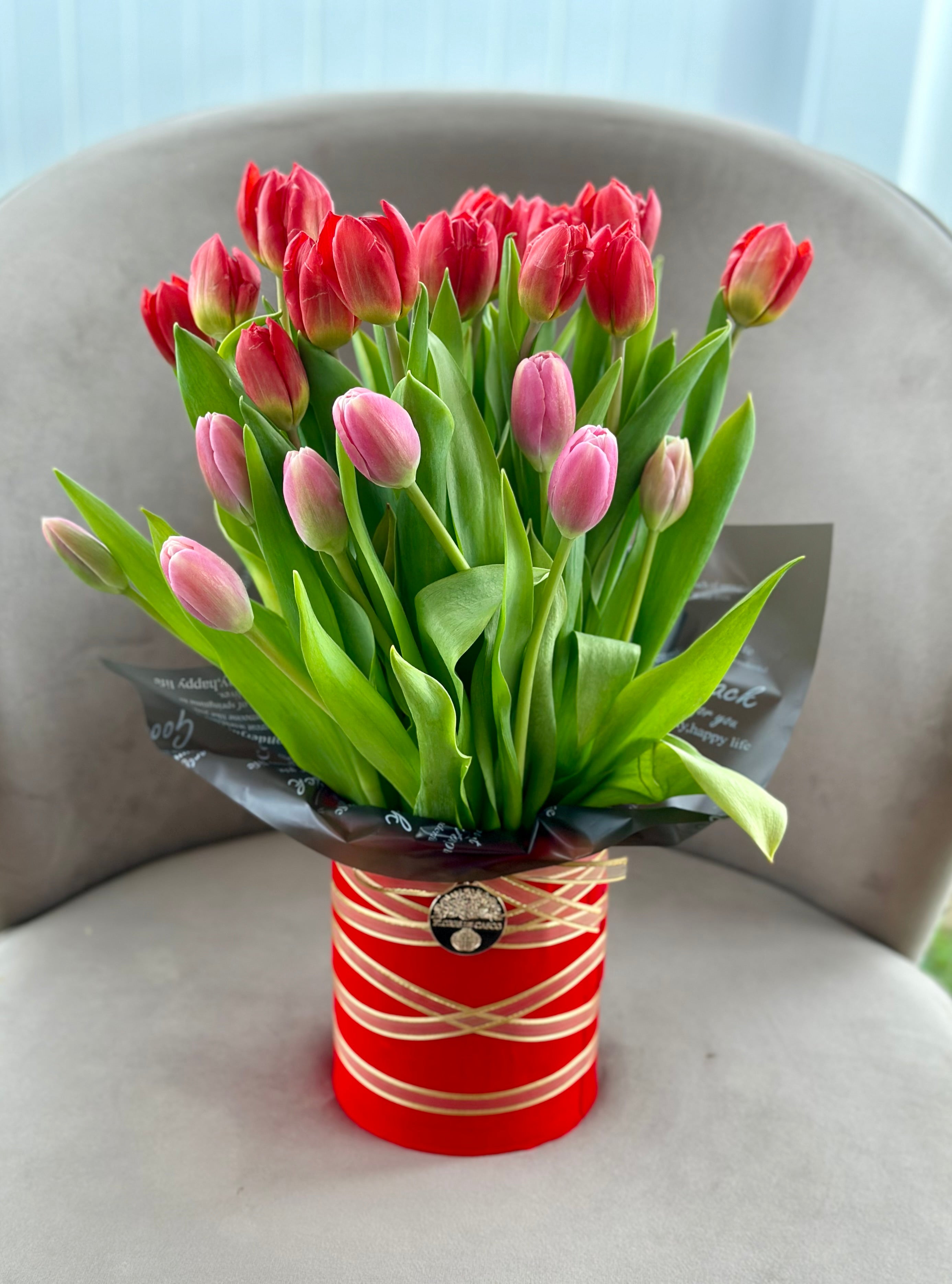 24 Tulip Dream