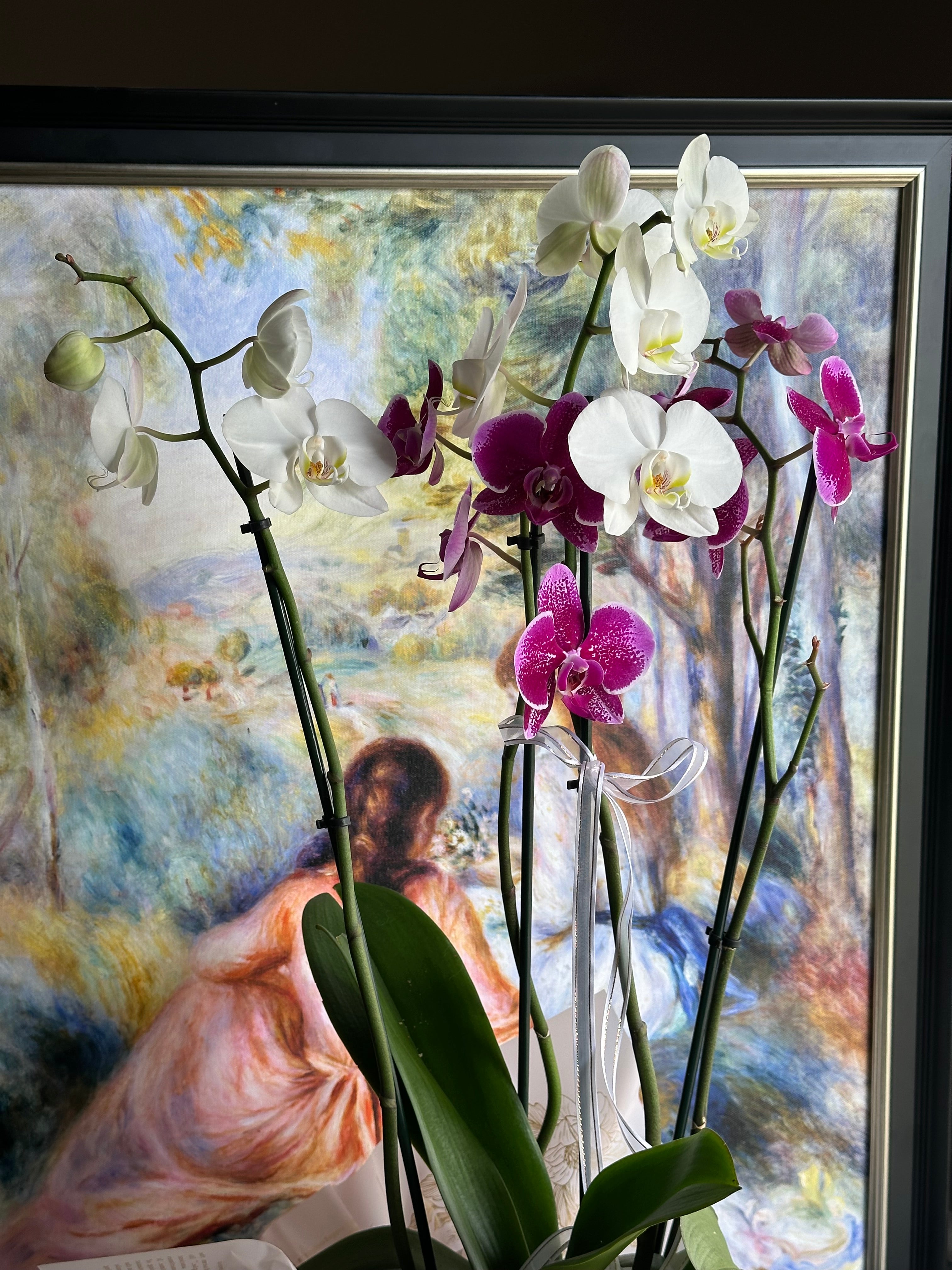 Orchid Island