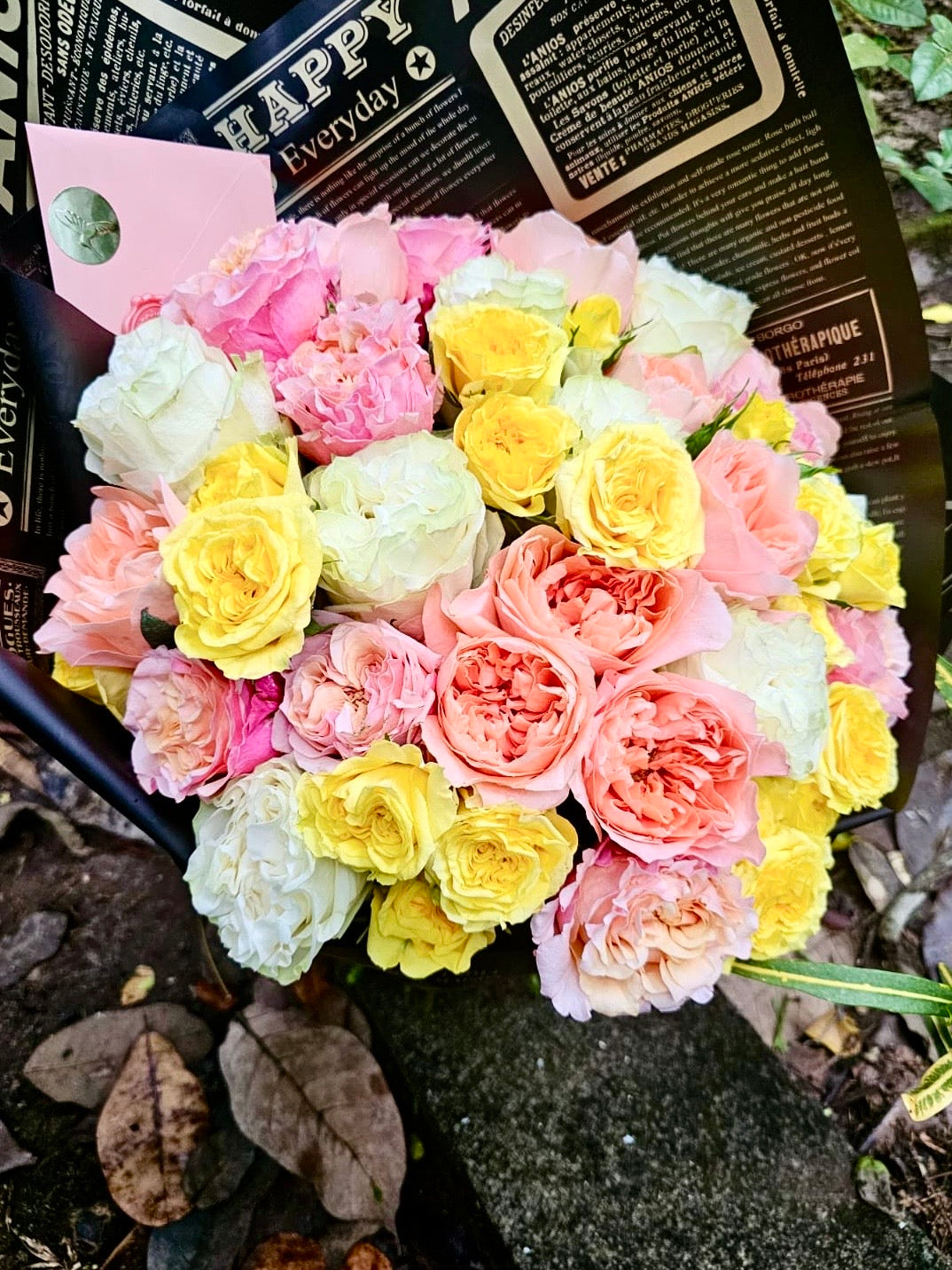 31 rose