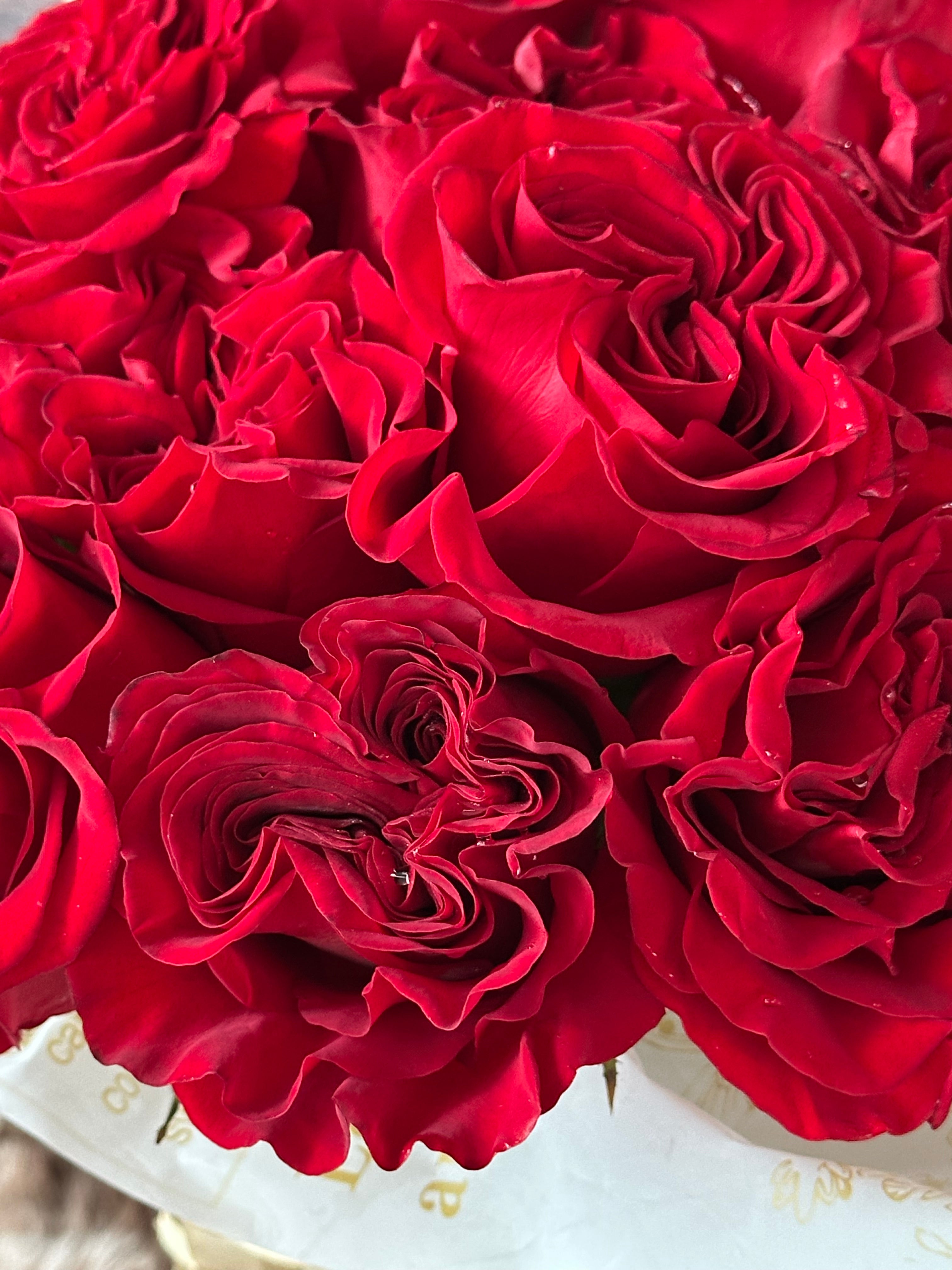 Hearts Garden🌹